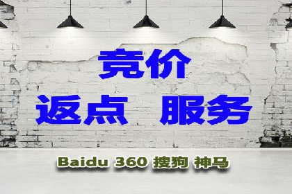 百度广告投放策略：成功案例解析